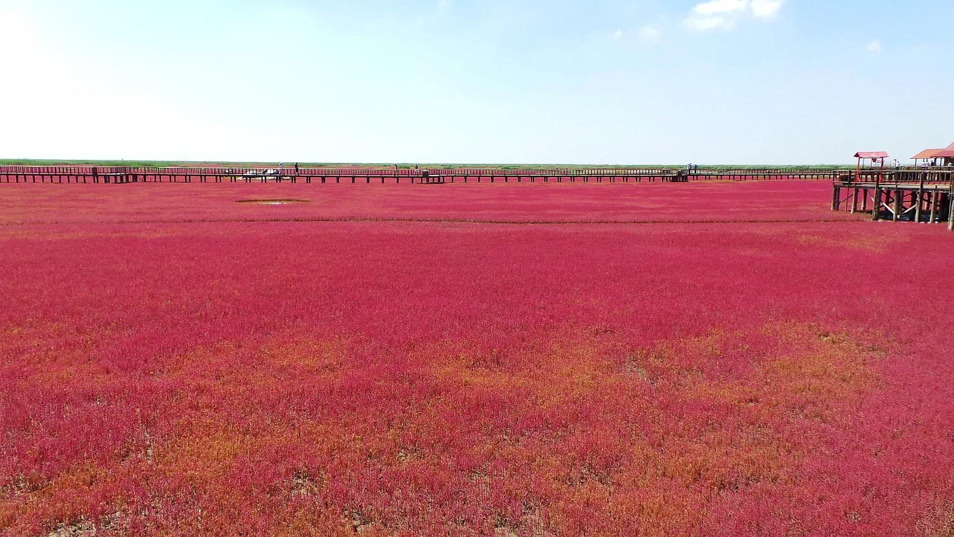 北京-长白山自驾旅游攻略,国庆北京到长白山天池旅游攻略