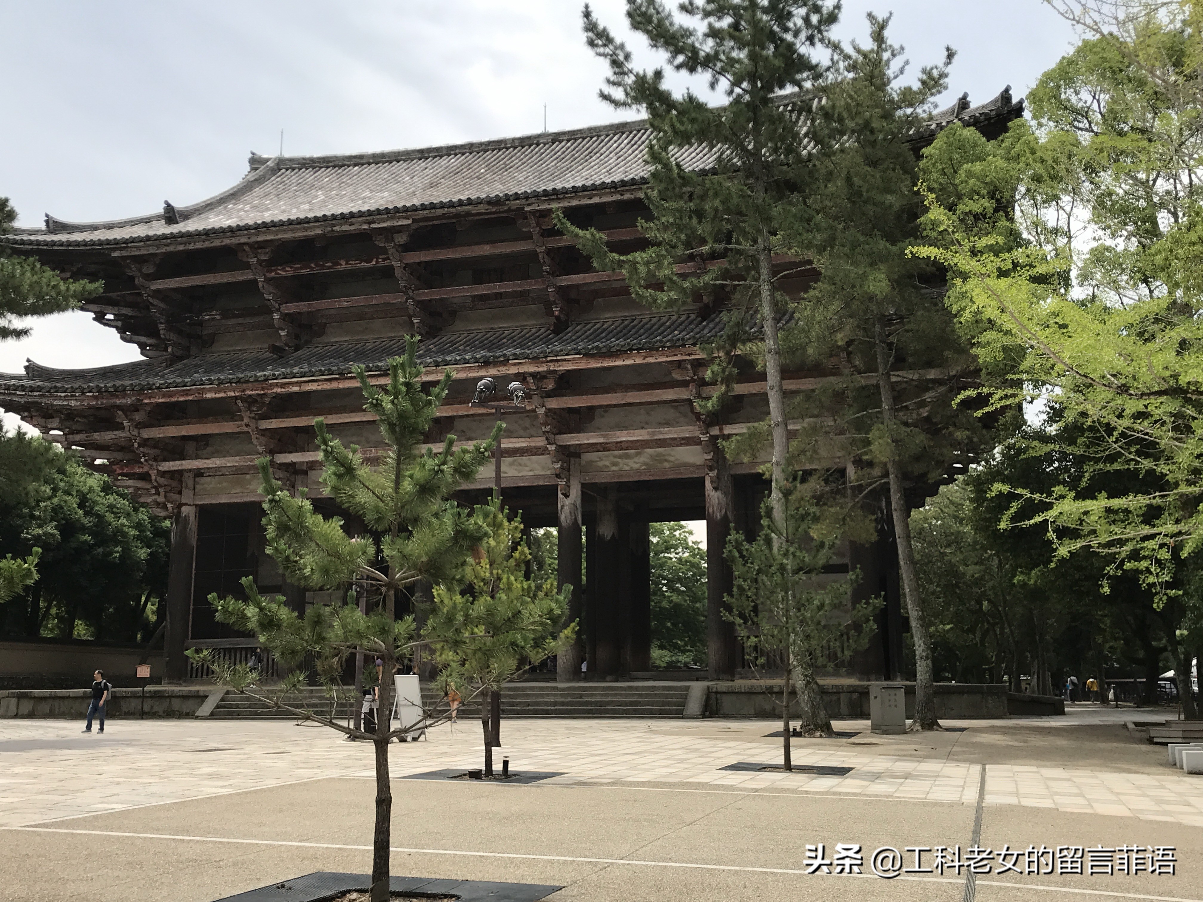 奈良东大寺大佛殿和太和殿,奈良东大寺位置地图图片