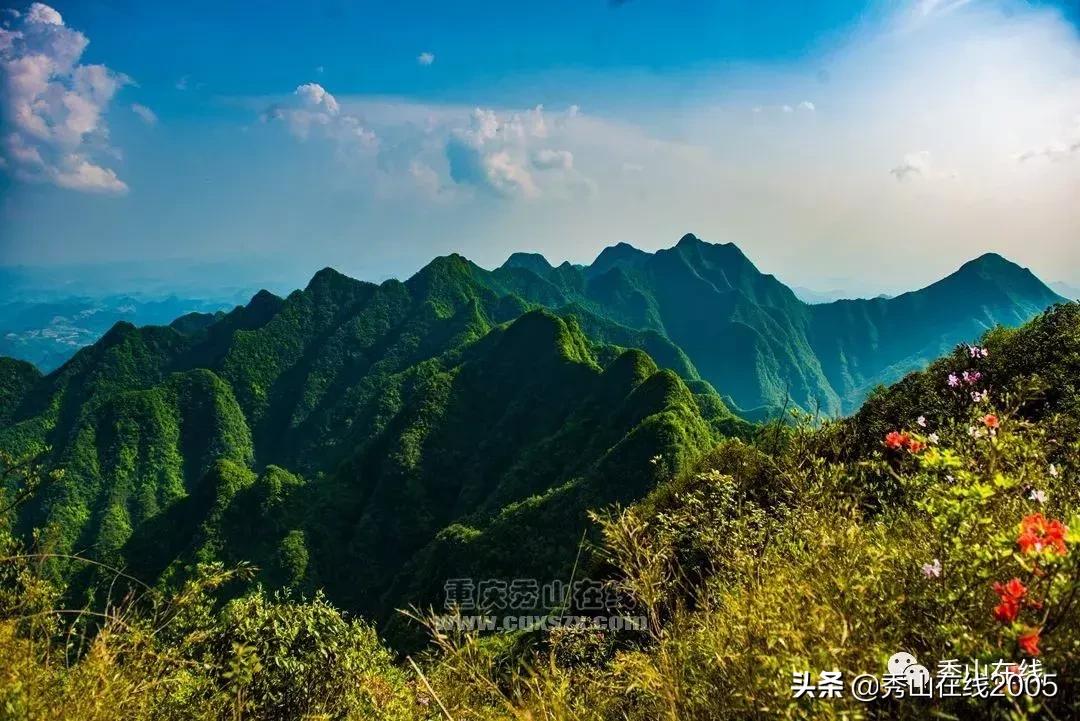 当天就能打来回！秀山县城周边这些避暑胜地，景美还凉快