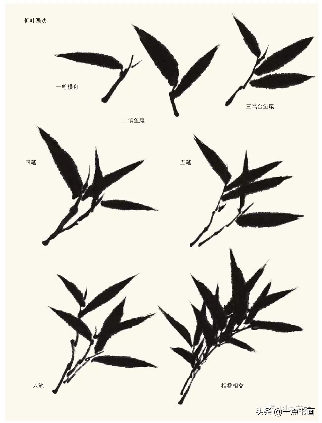 梅花画法教程,竹子画法教程