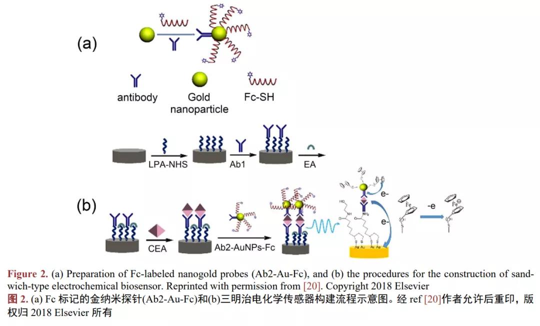 电化学发光生物传感器,电化学生物传感器