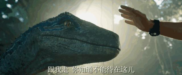 寻找侏罗纪世界中的火山岛,和“驯龙高手”一起拯救史前小短手!