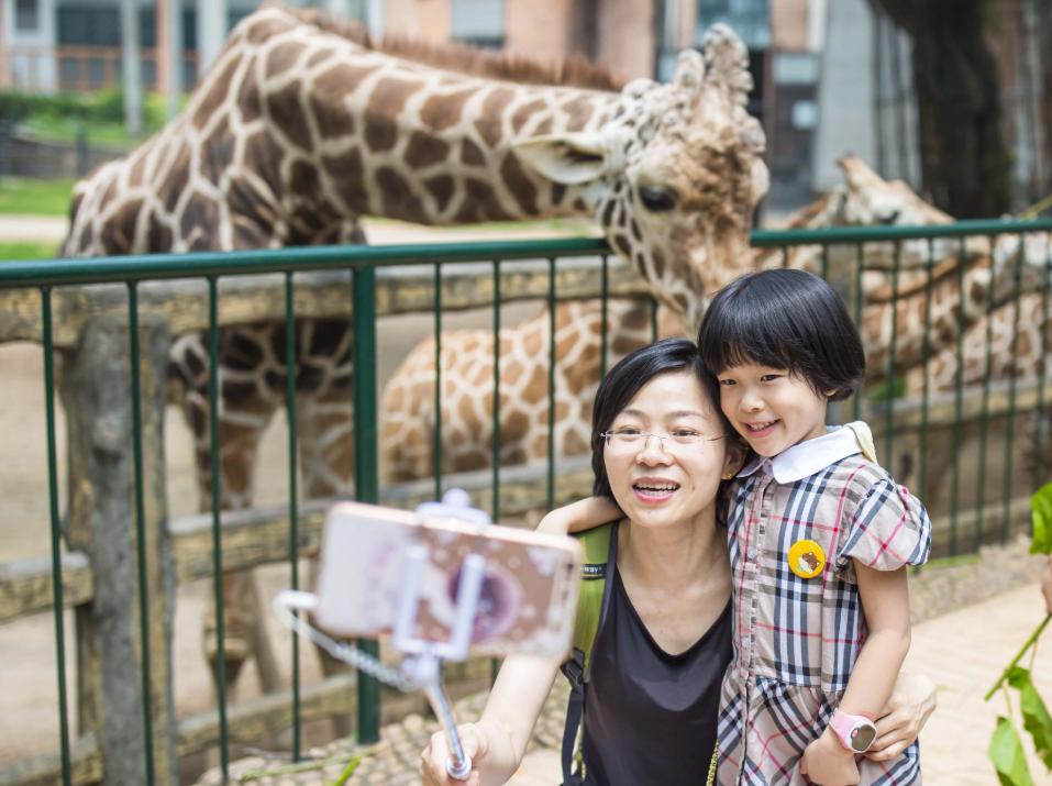 孩子的性格很执拗怎样才能改变,孩子性格执拗怎么教育