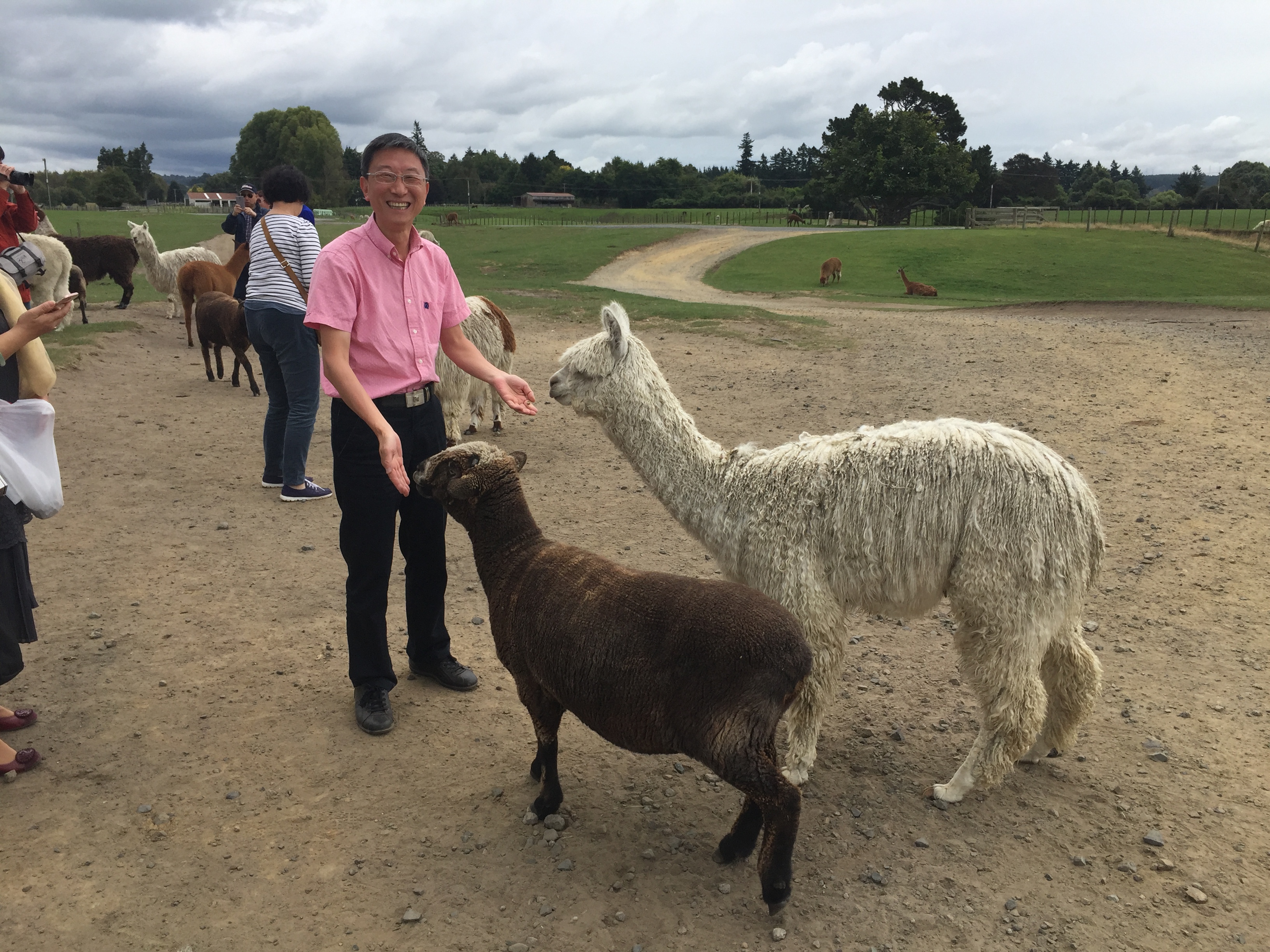 新西兰天然农场,成都新西兰牧场