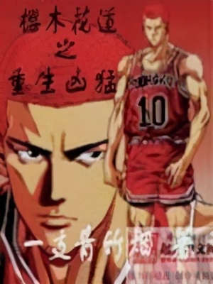 灌篮高手经典同人文,灌篮高手书5