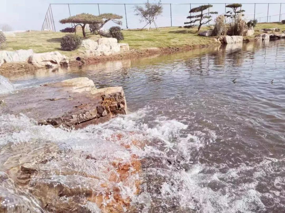 日照山海天足球场,日照足球公园踢球