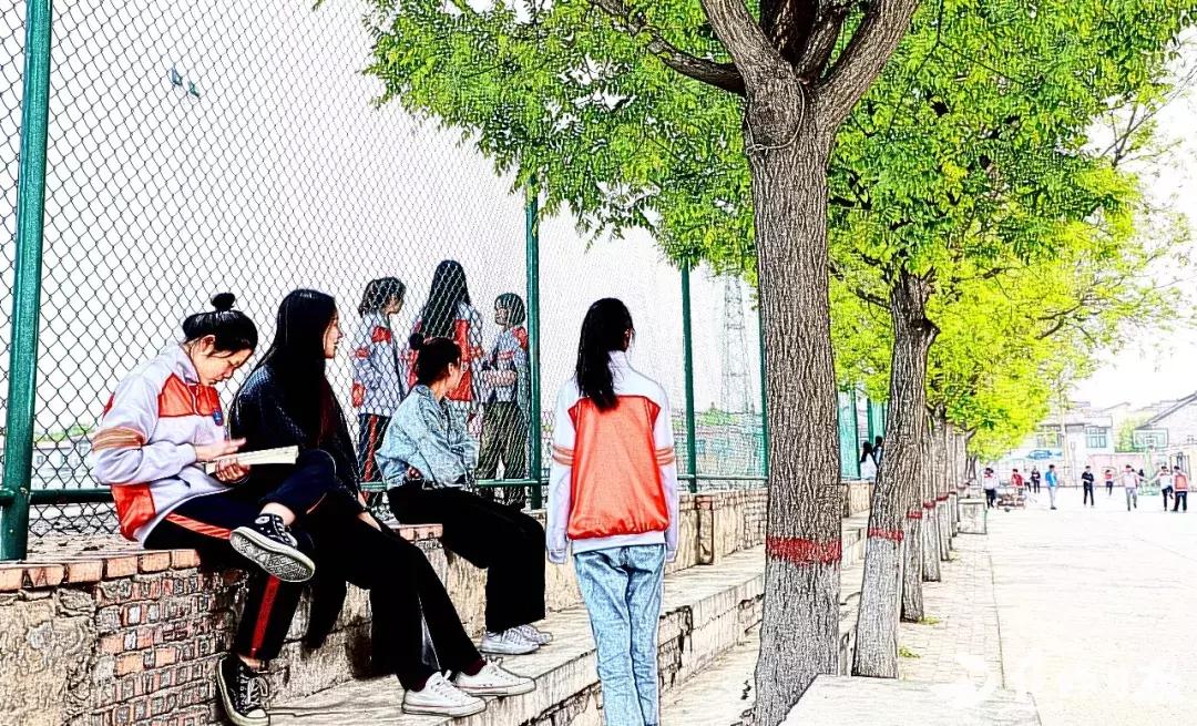 焦作市第四中学龙翔校区,焦作市第四中学哪个区