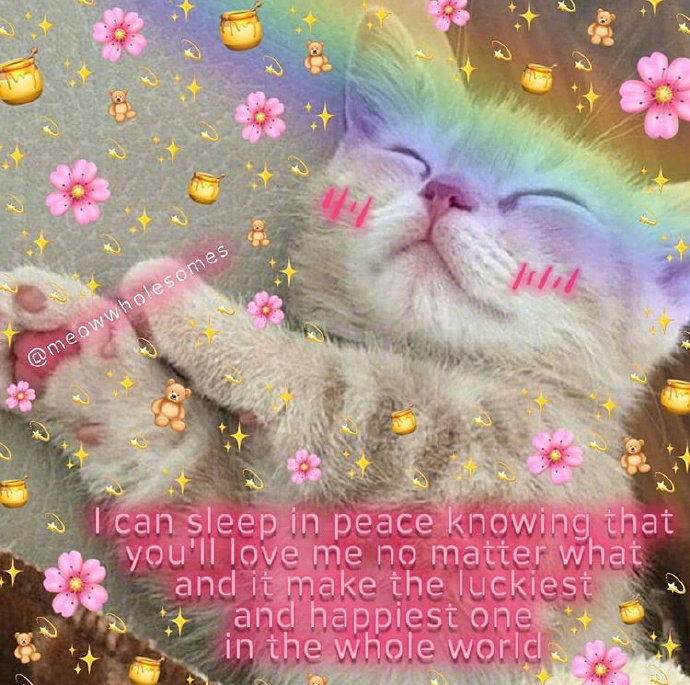 猫咪背景图ins风,猫咪背景图ins高级质感黑猫