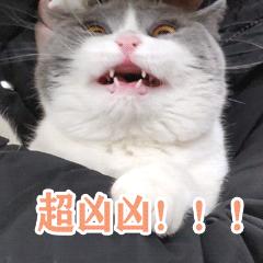 我花了180块，终于搞明白了闲鱼改简历背后的套路