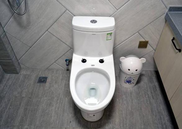 带防臭盖的马桶堵塞怎么疏通最快,虹吸式马桶经常堵塞怎么疏通最快