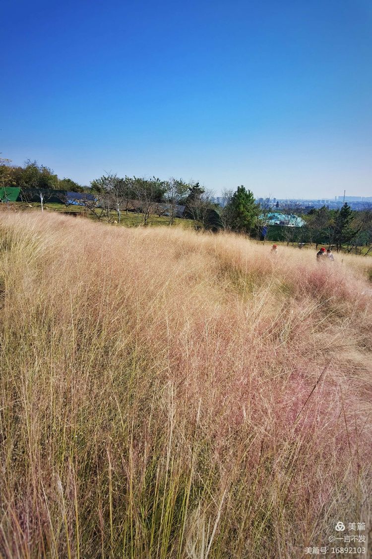 秋之旅免费完整版,秋之旅风景图片