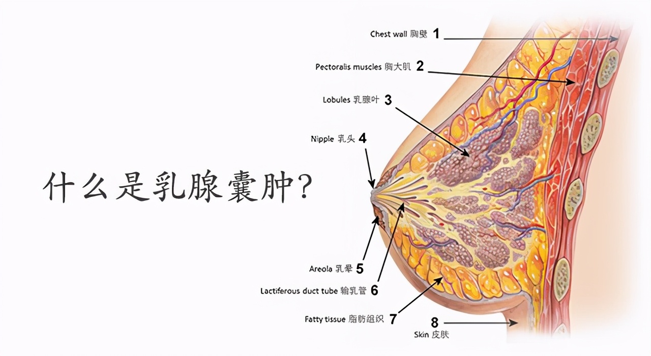 身体出现囊肿怎么治疗,身体出现哪几种囊肿要注意