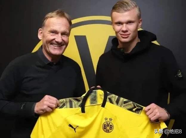 哈兰德身高为什么这么高,哈兰德到底有没有孩子