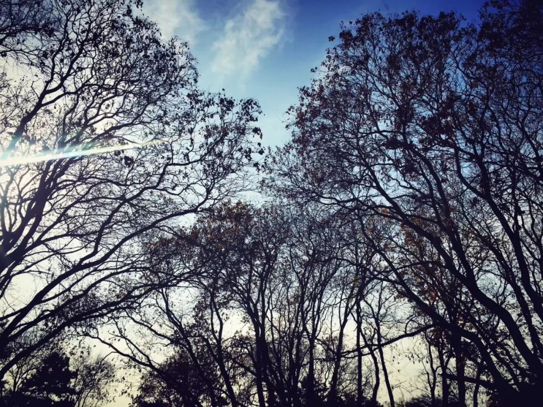 缃戝弸鍒嗕韩鍖椾含璧忚姳鎸囧崡,鍖椾含璧忚姳鎸囧崡