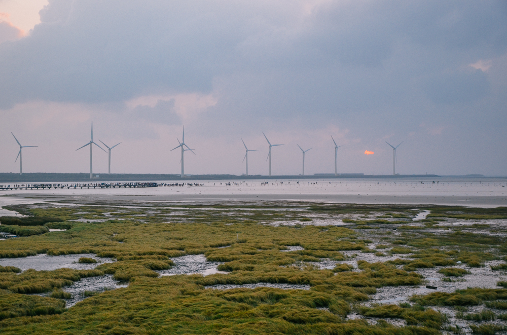 地方叫高美湿地,绝美滩涂,吸引了无数人来打卡日落美景