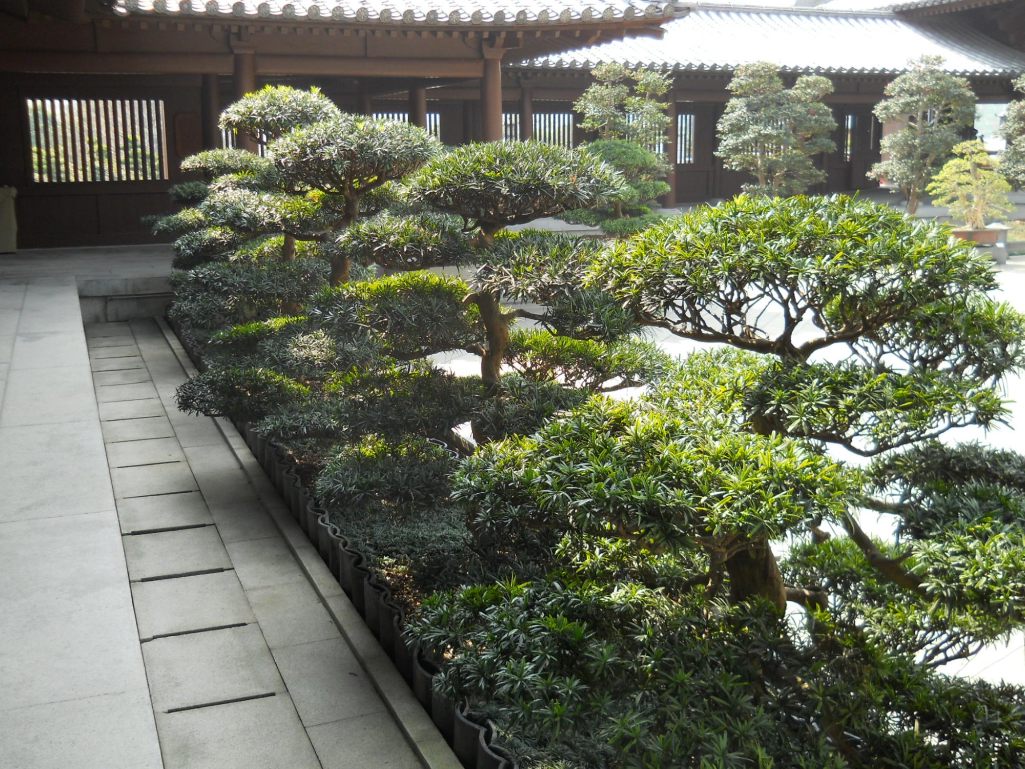 香港志莲净苑地图,香港志莲净苑好玩吗