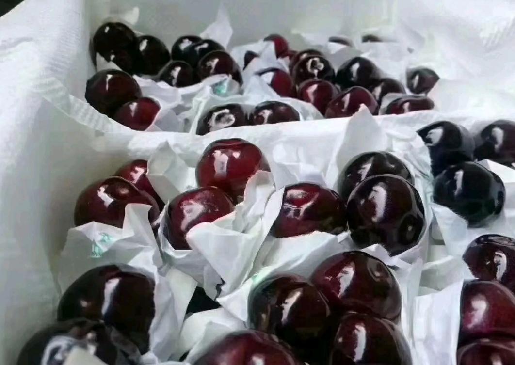 大樱桃裂果咋办？我国农民有一“神奇操作”，专家反对，照样大火