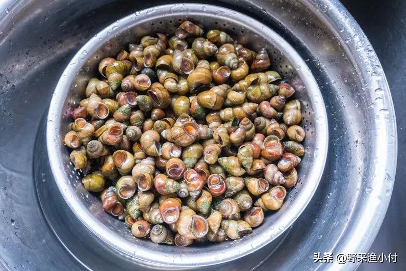 钓鱼空军的几大原因你知道吗,钓鱼如何避免空军