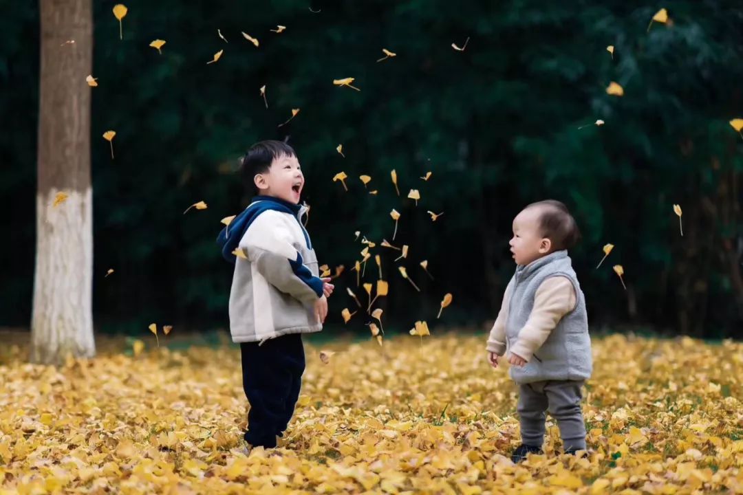 我觉得……这个冬天要过去了