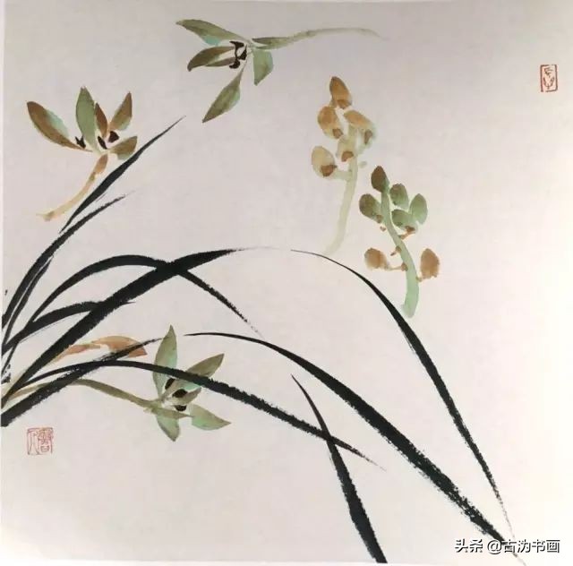 国画兰花技法讲解视频,徐湛国画兰花技法教学