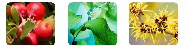 新西兰8分钟面膜三种颜色的功效,新西兰好的面膜