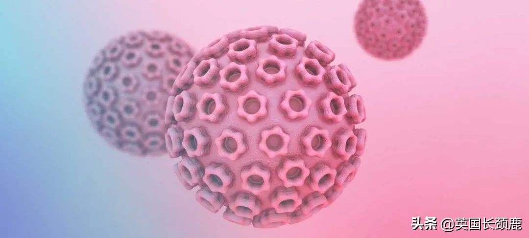 英国打hpv疫苗吗,英国怎么预约hpv