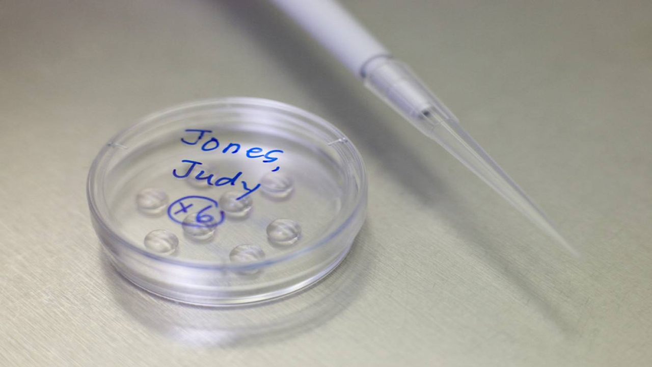 试管婴儿怎么生出来,试管婴儿怎么出生的