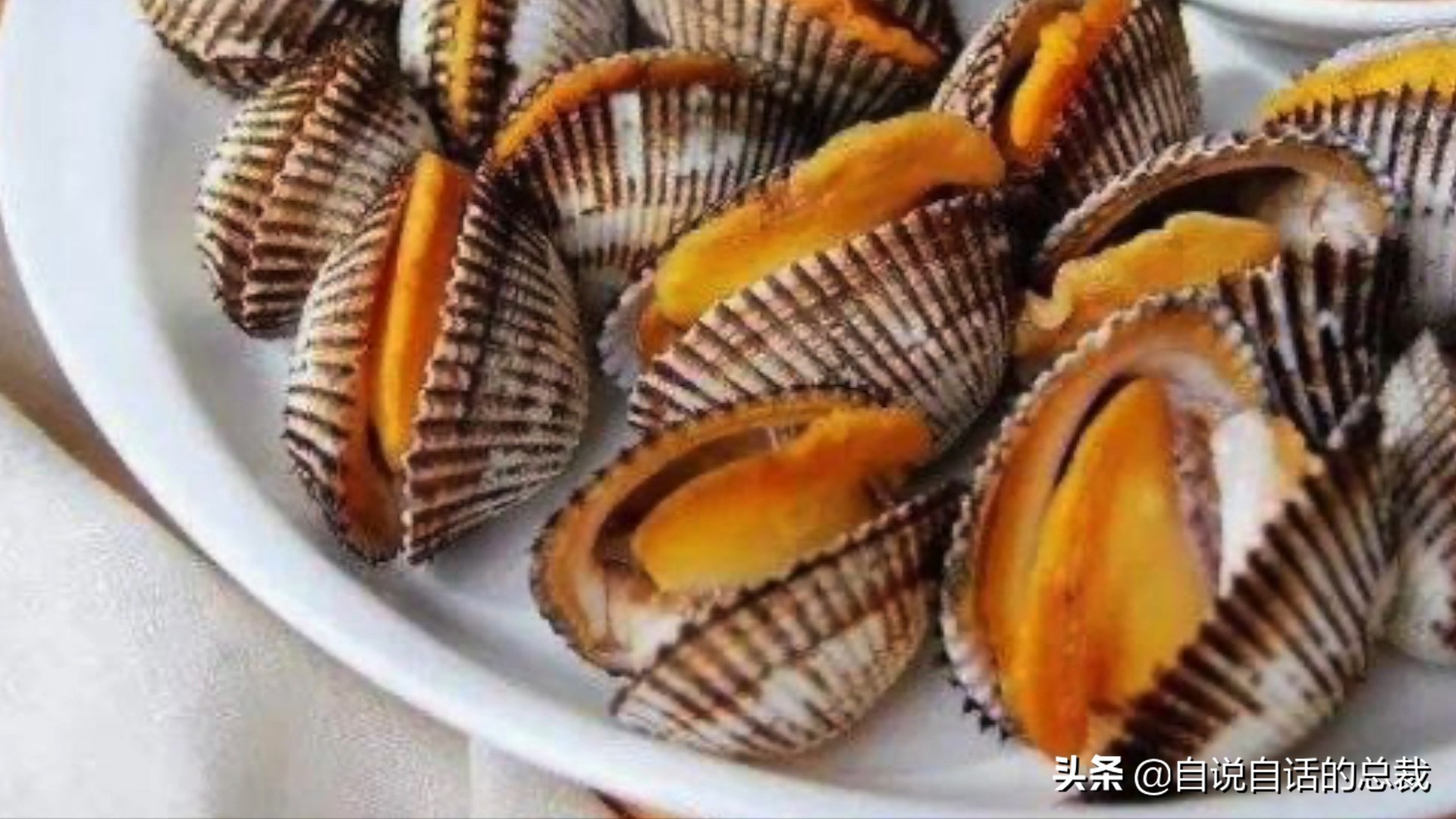 海鲜蛤蜊与蛤蜊区分,蛏子与小人蚬的区别