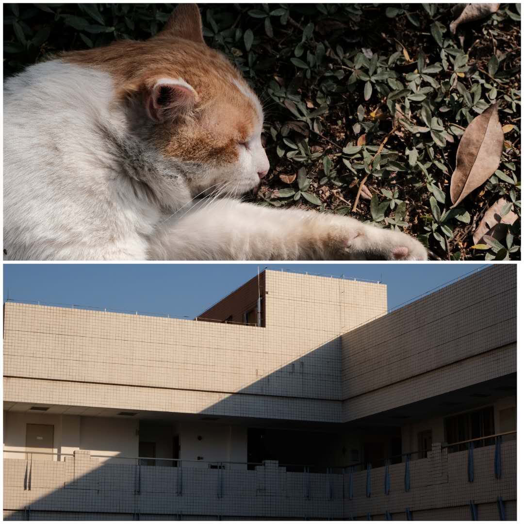 2022年富士xt3买新的还是二手的,2020年富士xt3还能买吗