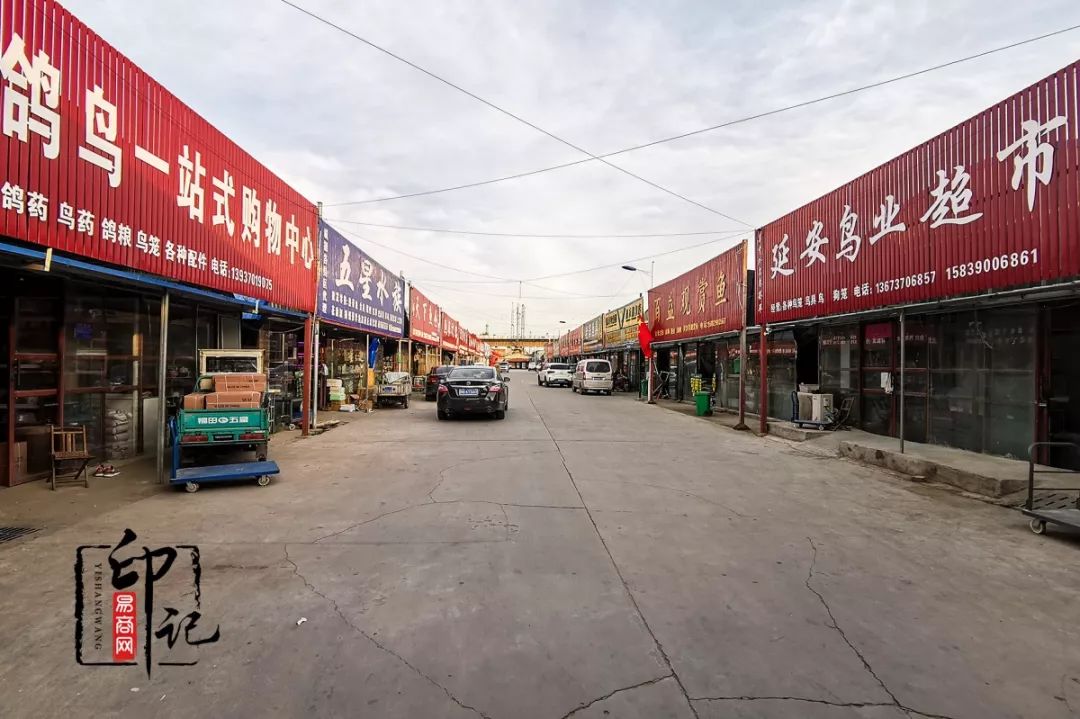 商丘道北花鸟批发市场,商丘花鸟宠物市场