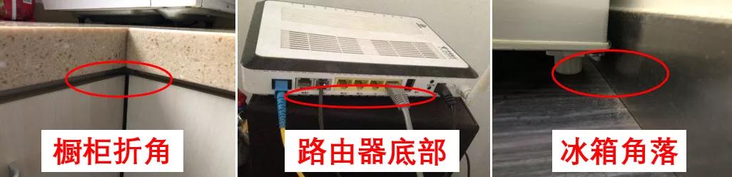 饮水机爬出蟑螂,饮水机老是有蟑螂进去怎么办