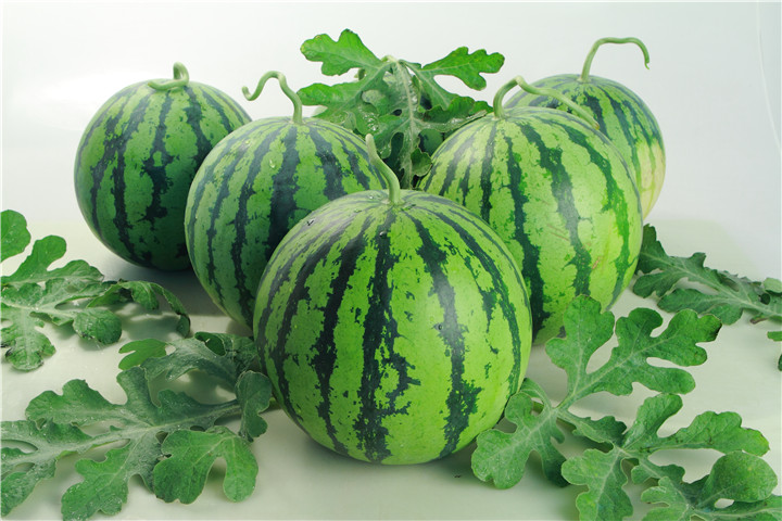 西瓜根腐病死苗该咋办,西瓜出现根腐病怎么治疗