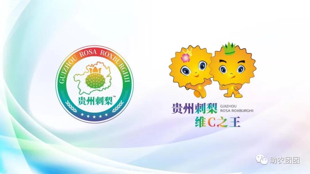 贵州助农团团最新视频,助农团团直播回放