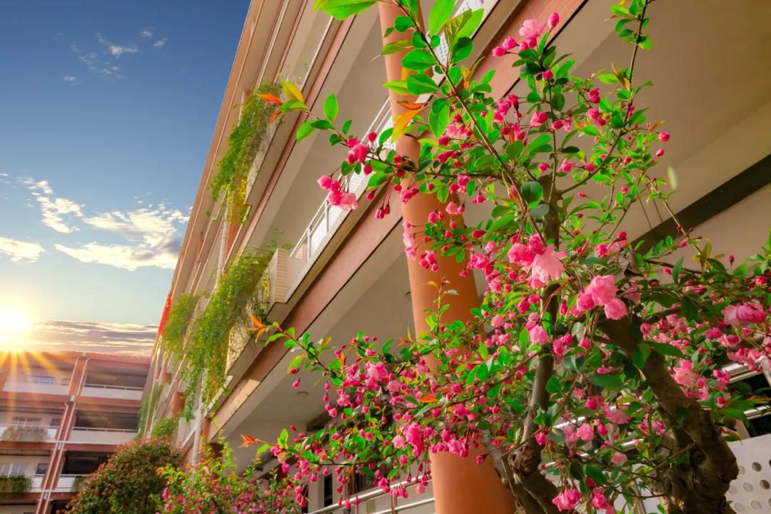 南京比较好的小学学校排名,南京名校小学最新排名