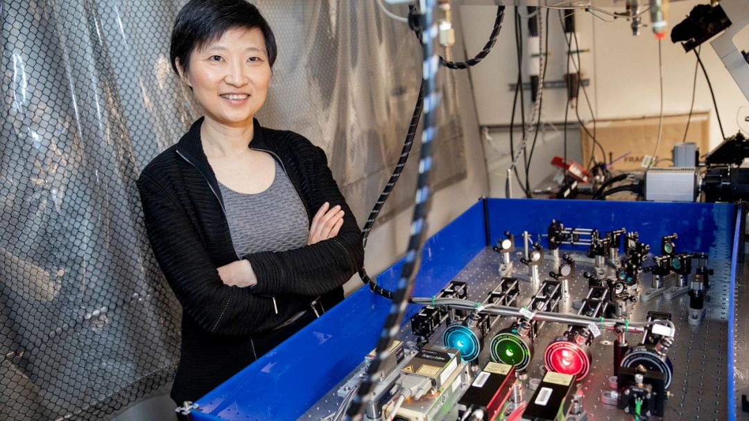 用纸做dna分子模型图片,dna折纸技术就业