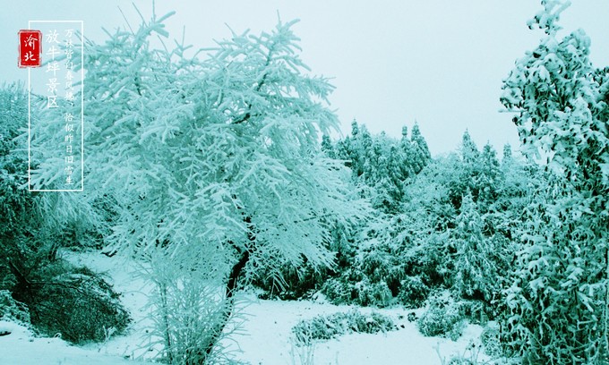 渝北周边采摘推荐,渝北茨竹附近采摘园