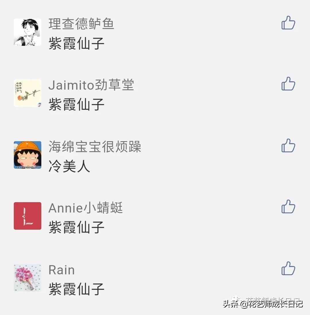 送给妈妈的手工花康乃馨,母亲节送妈妈什么颜色康乃馨