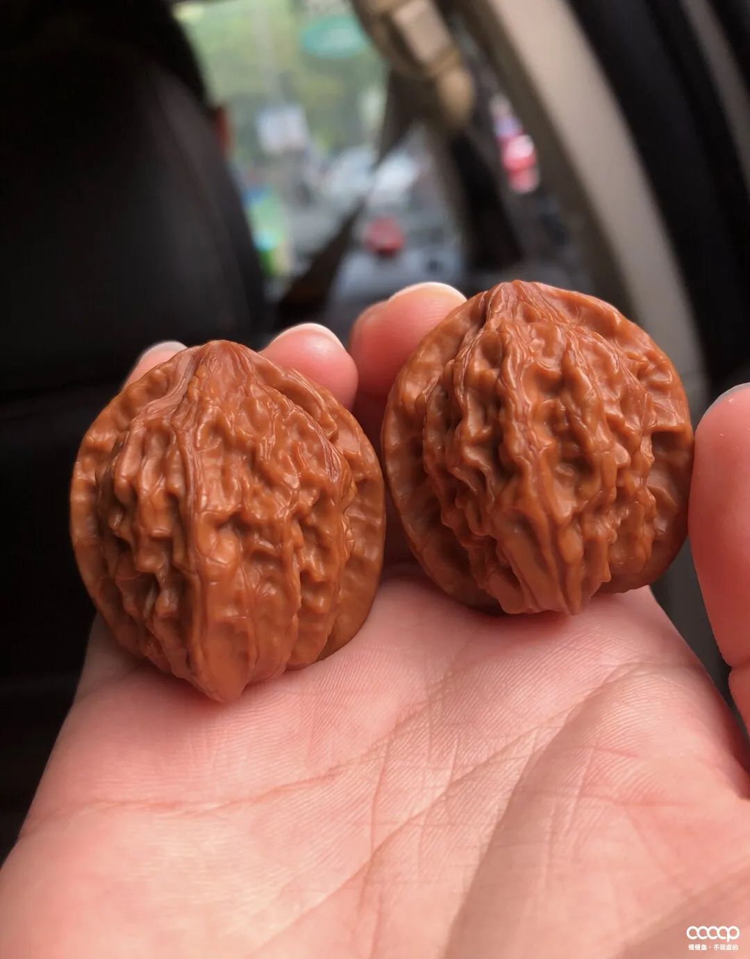 有毒！又一位宝藏小姐姐，玩核桃最爱“马虎”，朋友眼里是奇葩