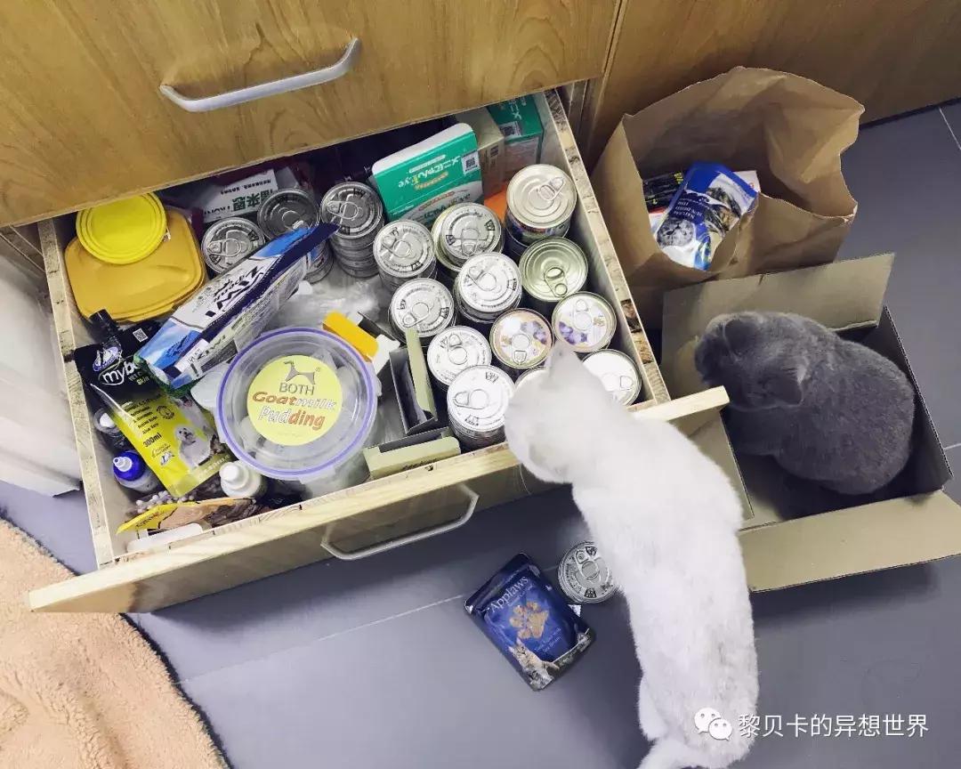 去年双十一买的东西都用完了吗,双十一买的最后悔的东西