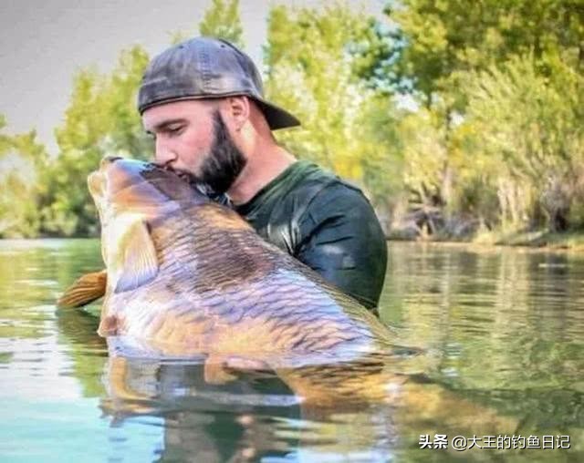 最高端的黑拉钓法,日式黑拉钓法介绍