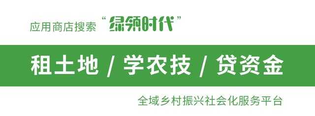 农友:我家有“粪”不用花钱买有机肥?对不起,你的灾难要来了