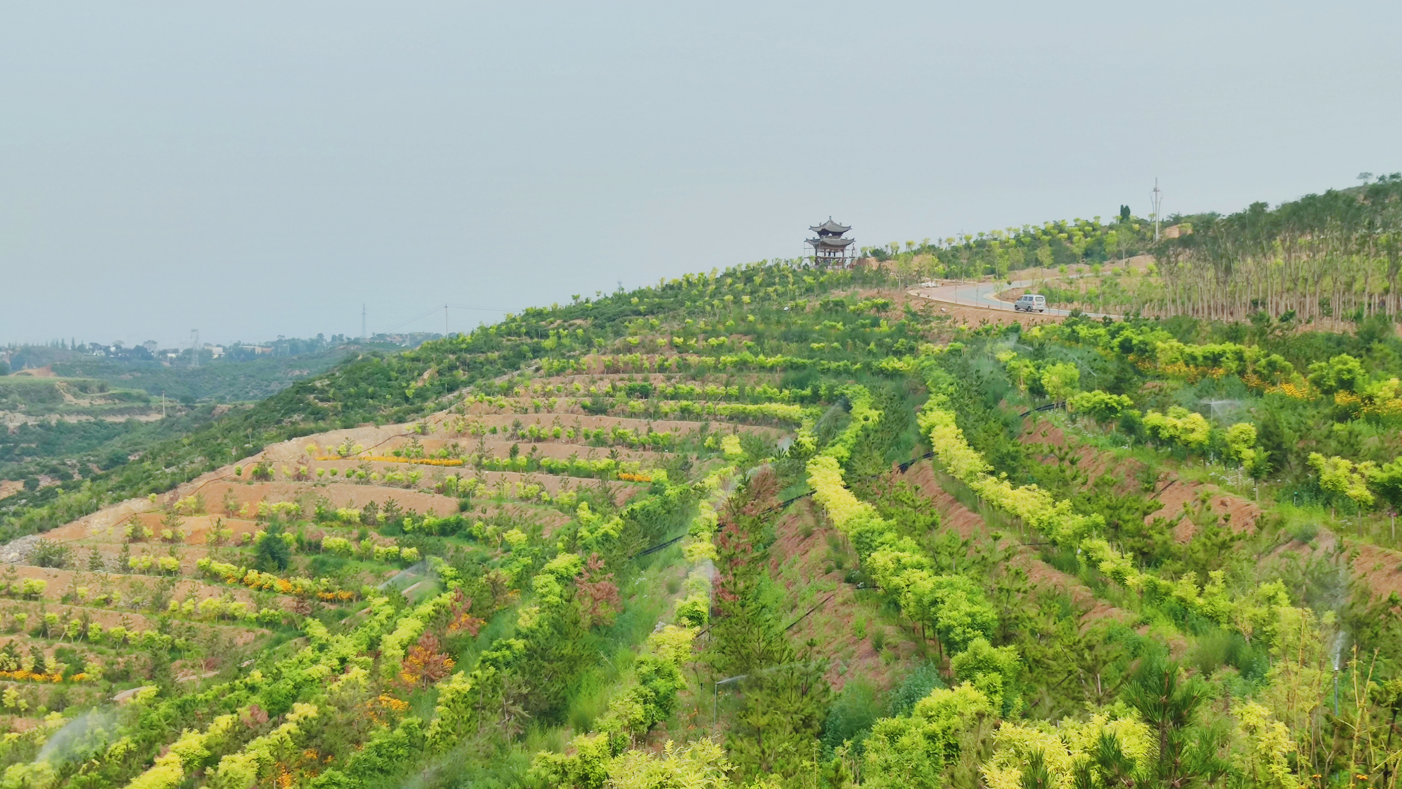 太原植树造林成果,山西人工造林工程