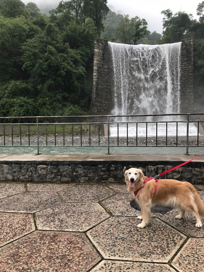 成都喇叭河自驾,自贡到喇叭河自驾