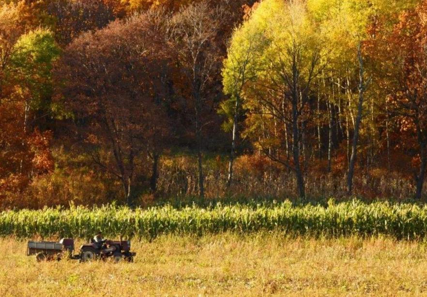 他们利用天时、地利等有利条件，走上了致富的道路