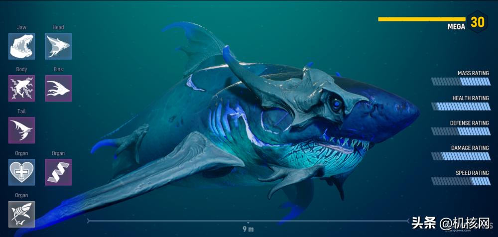 食人鲨从哪里买的,食人鲨值得买吗