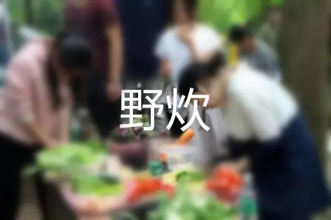 未来之星青少年成长夏令营宝鸡站,东夏未来之星