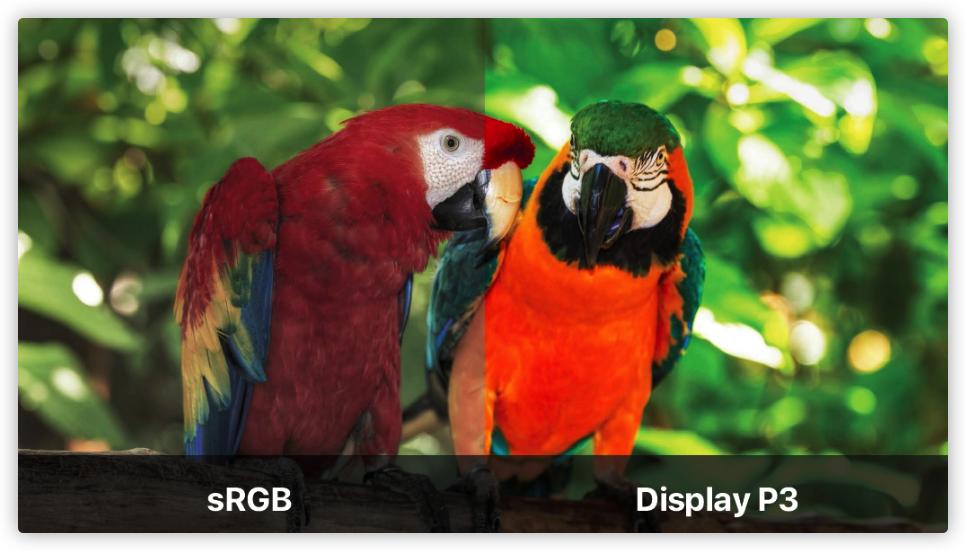 2021显示器选购指南千元篇,显示器选购攻略2023最新