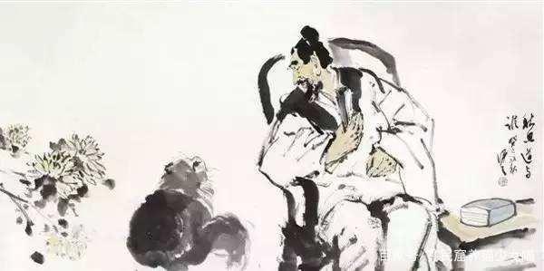 中华田园狮子猫多少钱一只,中华田园猫狮子猫蓝色眼睛