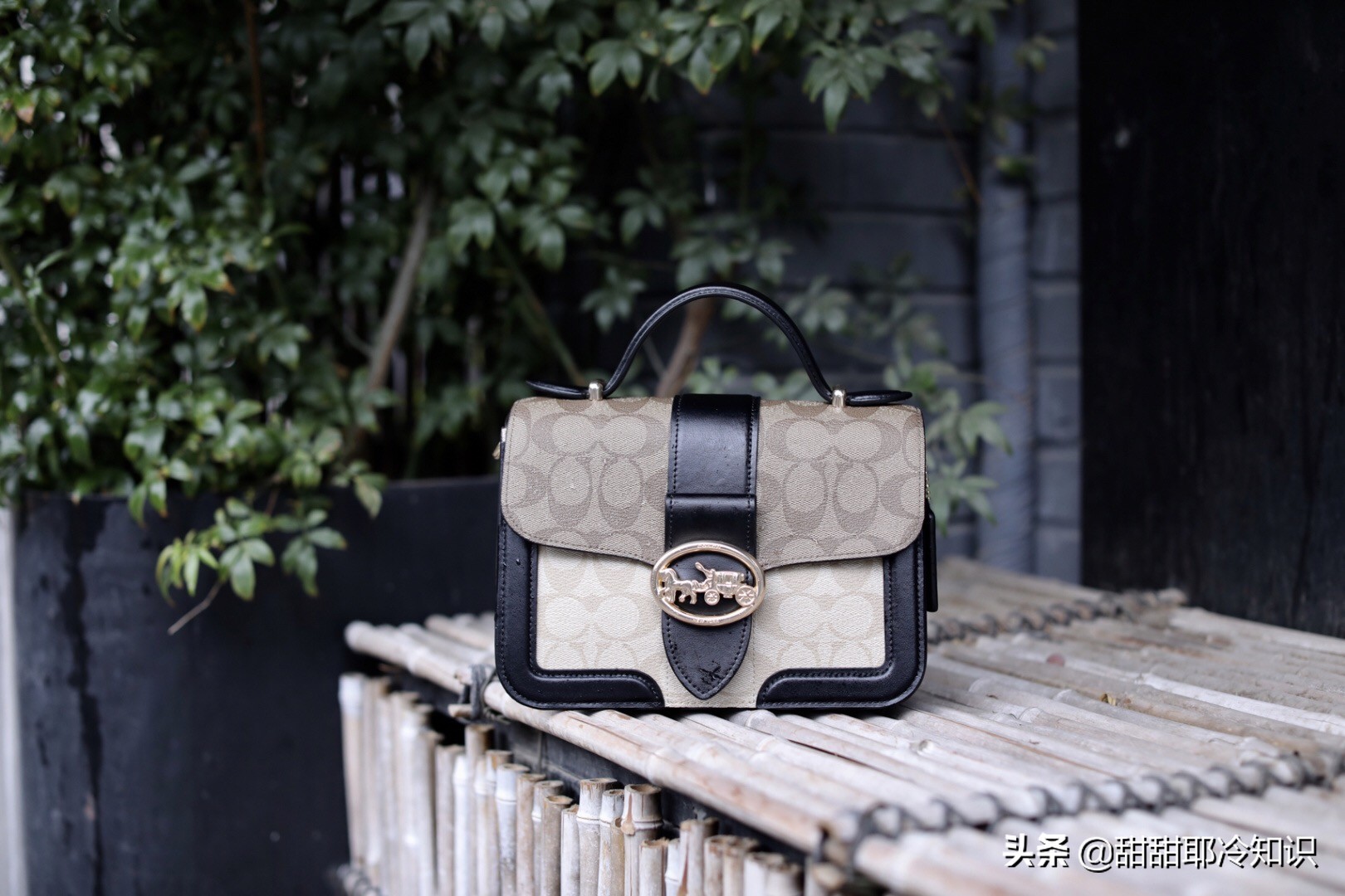 coach蔻驰风琴包黑色立体草莓,coach蔻驰新款马车图案包斜包