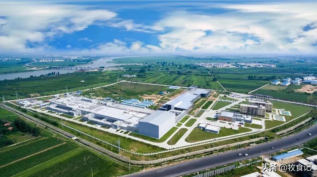 正大农牧食品及零售,正大农牧有限公司分布